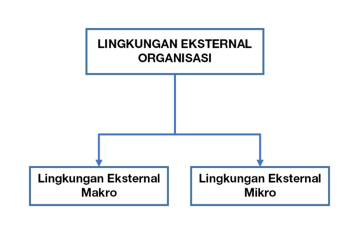 Lingkungan eksternal Organisasi