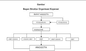 Struktur Organisasi Koperasi adalah
