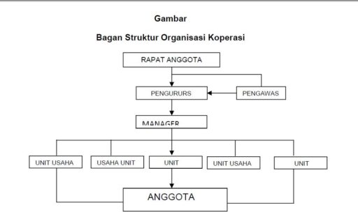 Organisasi Koperasi adalah: Pengertian Struktur dan Ciri-Ciri Organisasi Koperasi