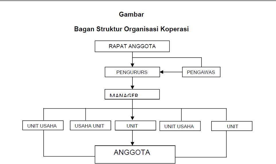 Organisasi Koperasi adalah: Pengertian Struktur dan Ciri-Ciri Organisasi Koperasi